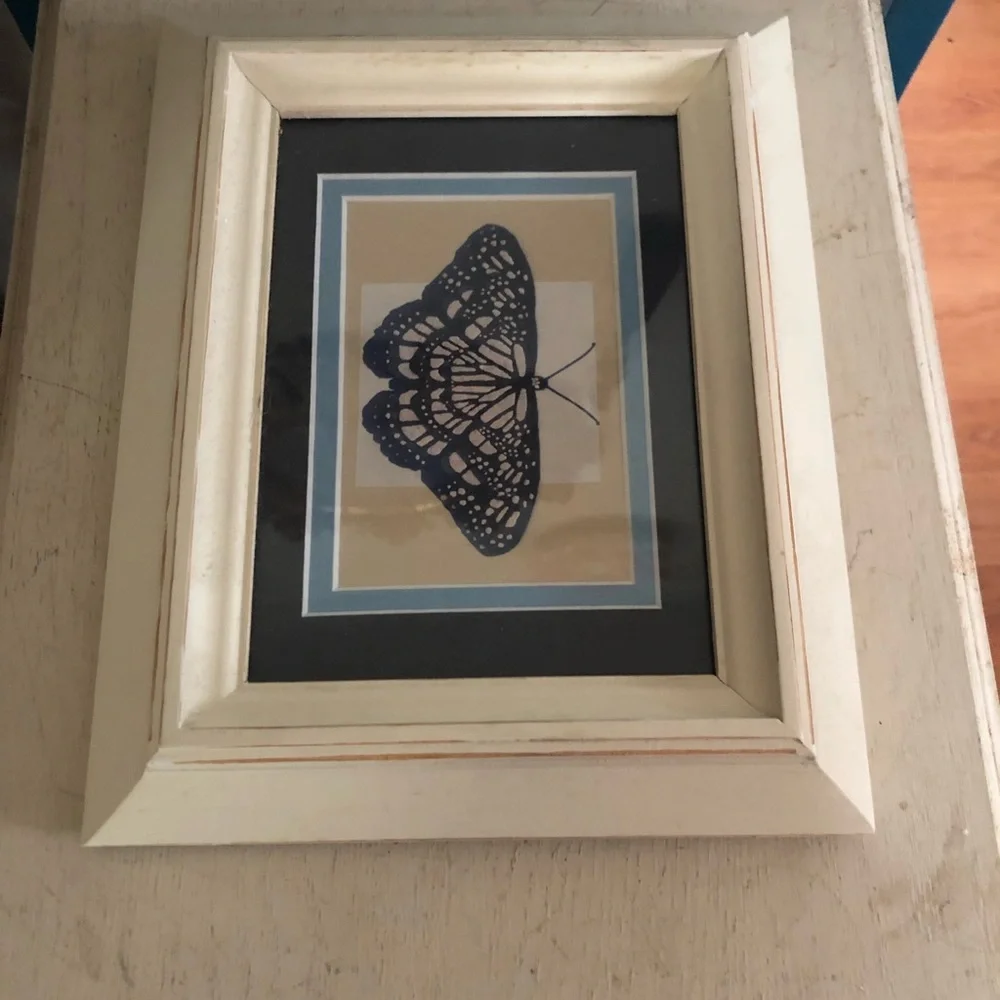 Framed Butterfly Print